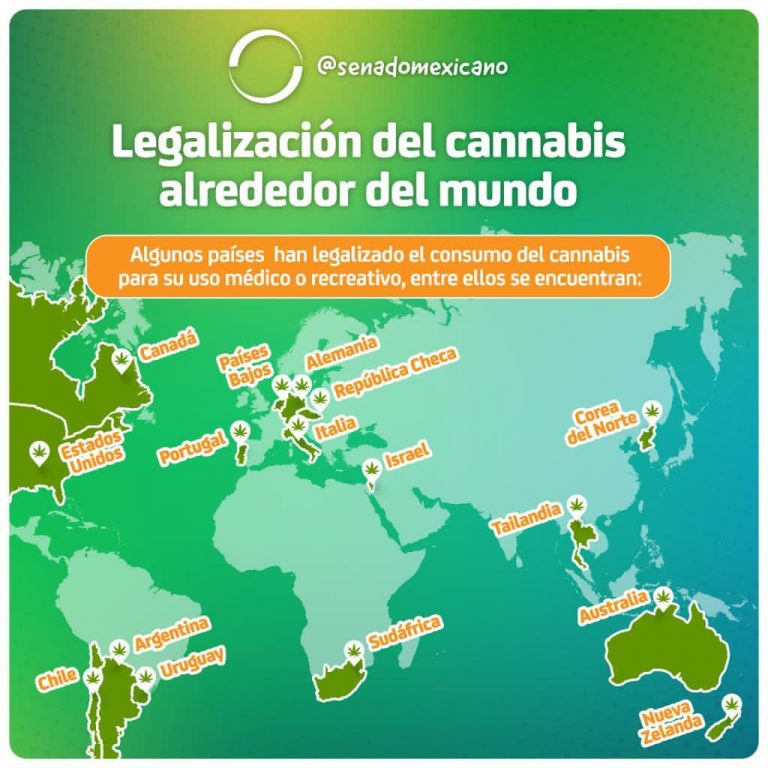 Legalización del cannabis alrededor del mundo Revista Macroeconomia