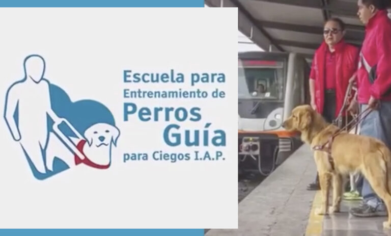 Escuela para Entrenamiento de Perros Guía para Ciegos I A P Revista