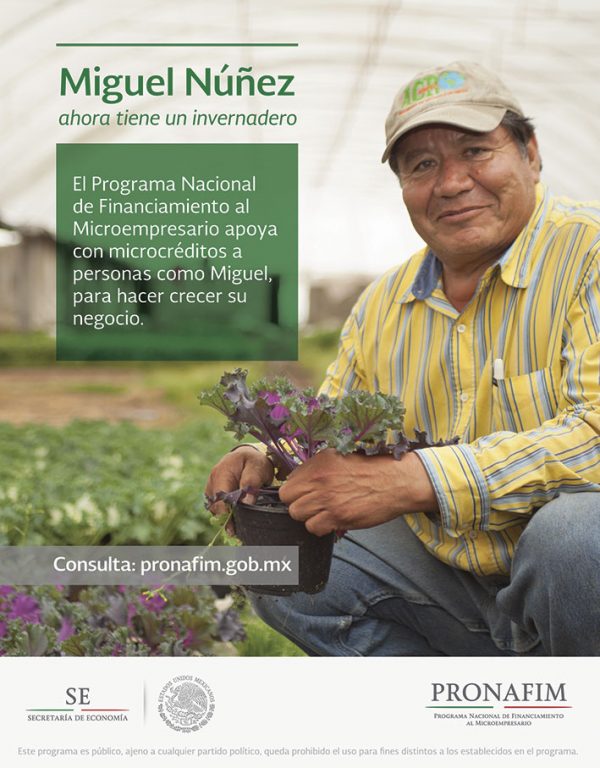 Programa Nacional De Financiamiento Al Microempresario Revista