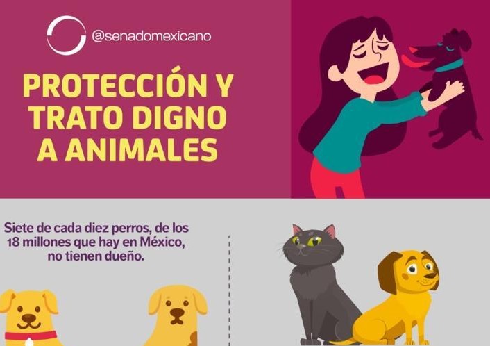 Proteccion Y Trato Digno A Animales Revista Macroeconomia