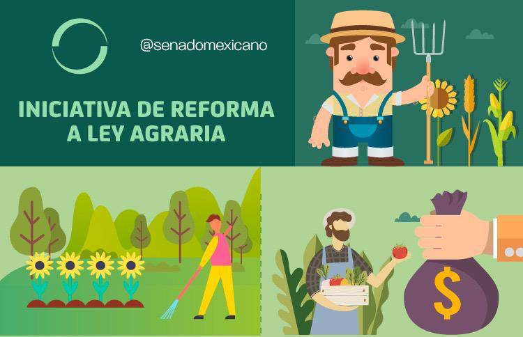 Photo of Iniciativa de Reforma a la Ley Agraria