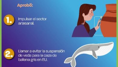 Photo of Asuntos destacados