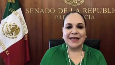 Photo of Firmas insuficientes para la Consulta Popular, advierte Senadora Fernández