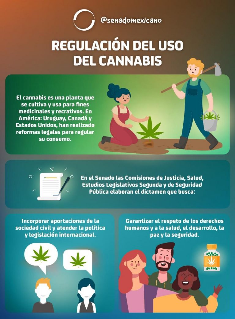 Regulación Uso Del Uso Del Cannabis Revista Macroeconomia 1851