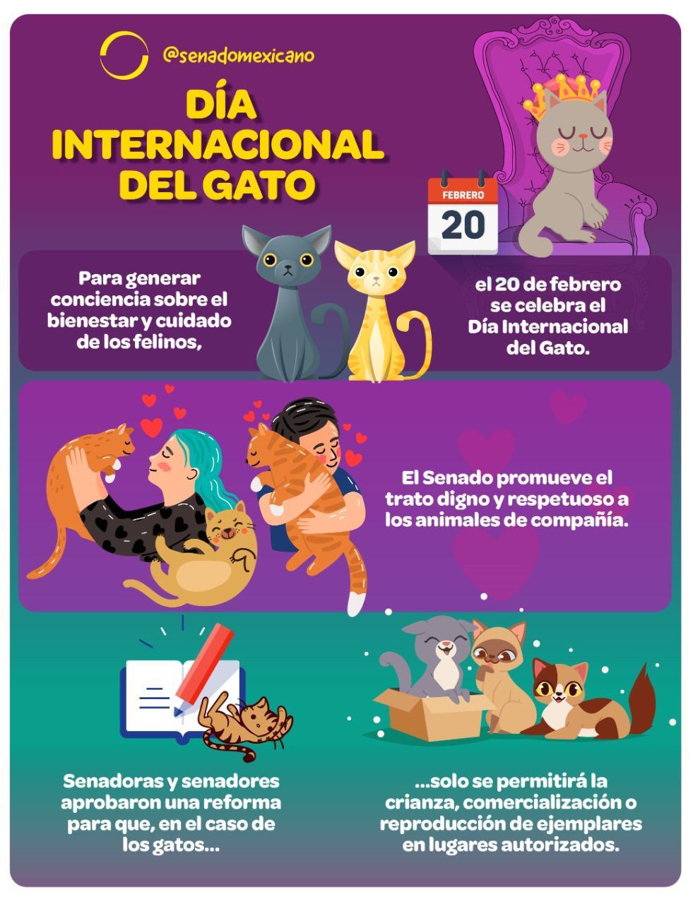 Día Internacional del Gato 20 de febrero Revista Macroeconomia