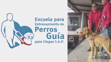 Photo of Escuela para Entrenamiento de Perros Guía para Ciegos I.A.P.
