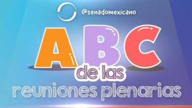 Photo of ABC de las Reuniones Plenarias