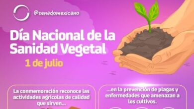 Photo of Día Nacional de la Sanidad Vegetal 1 de julio